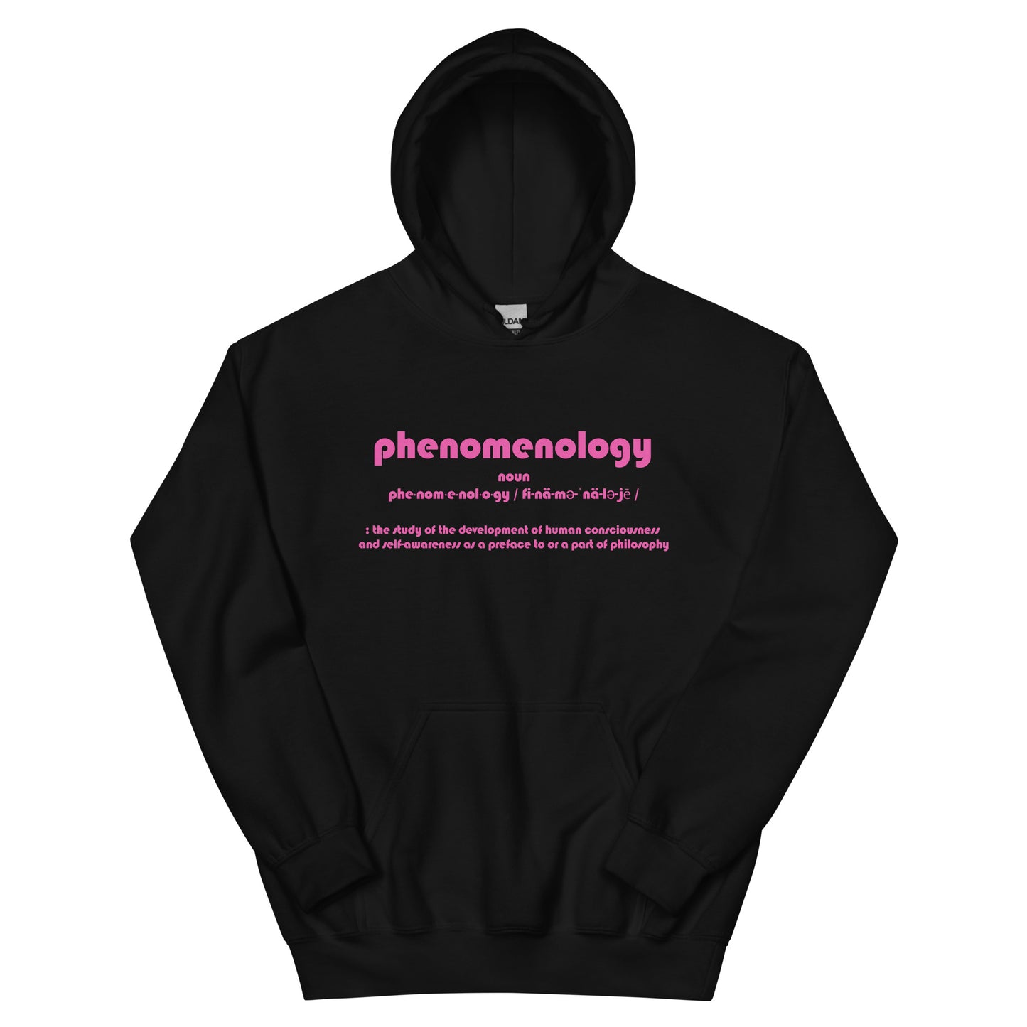 Phenomenology Unisex Hoodie